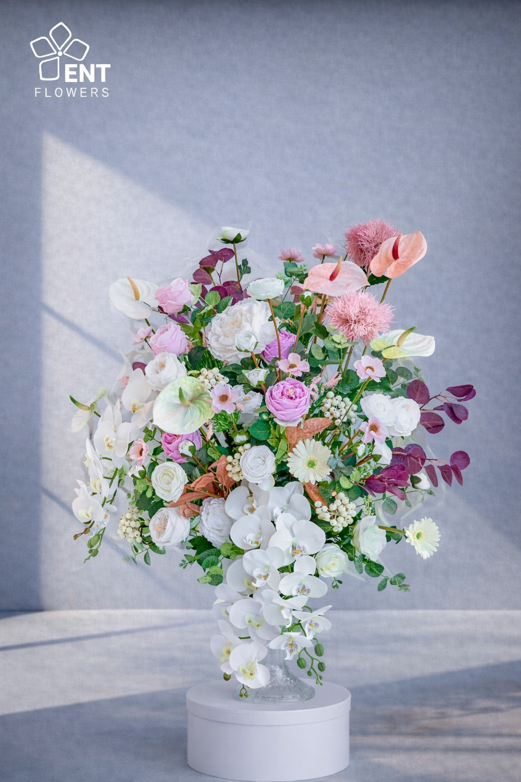 032 Phalaenopsis - Image 1