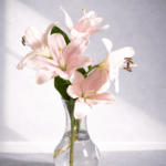 Lilies Love