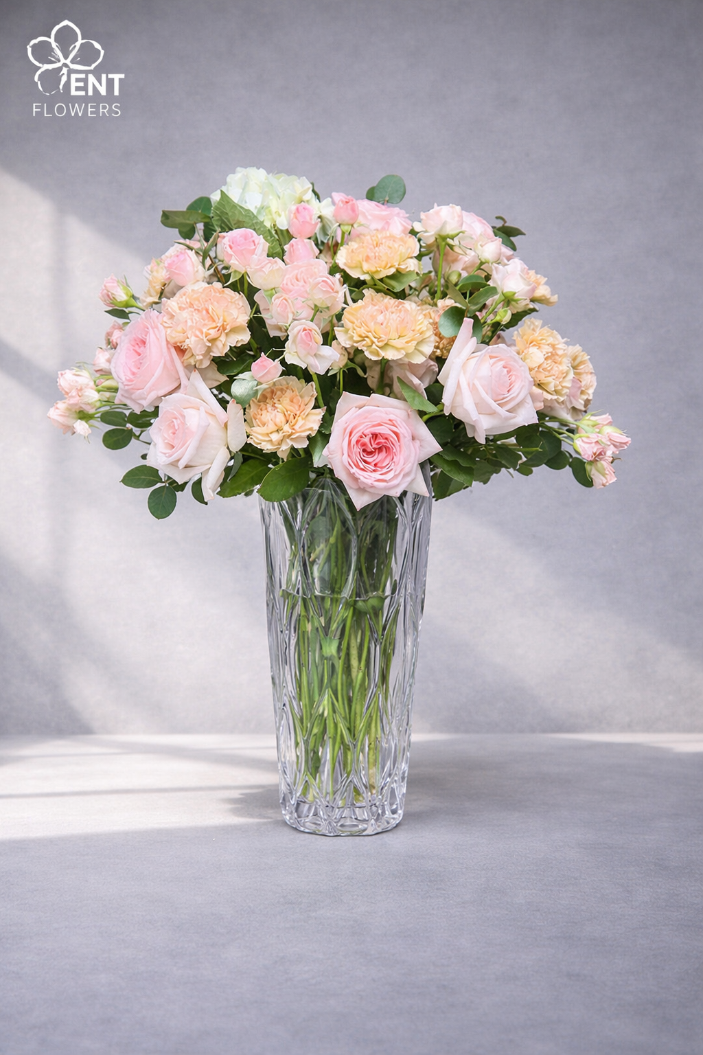 ChatGPT Image Feb 18, 2026, 10_21_29 PM VF0001 - 15 - Image 1