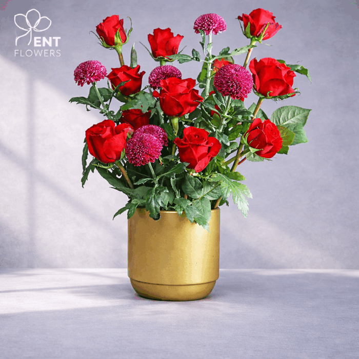 VF0004 - 10 - Image 2