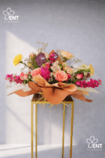 Mix Combination Color