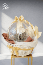 Balloon inside Cristal Limonium - Image 5