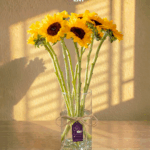 sun flowers