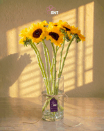 sun flowers