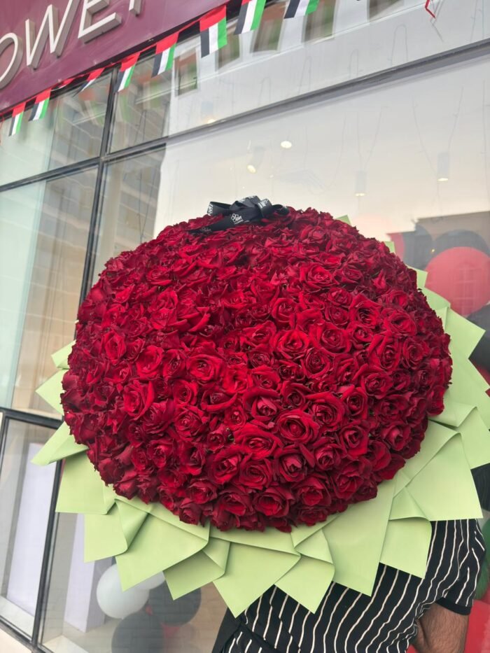 Red Elegance - Image 2