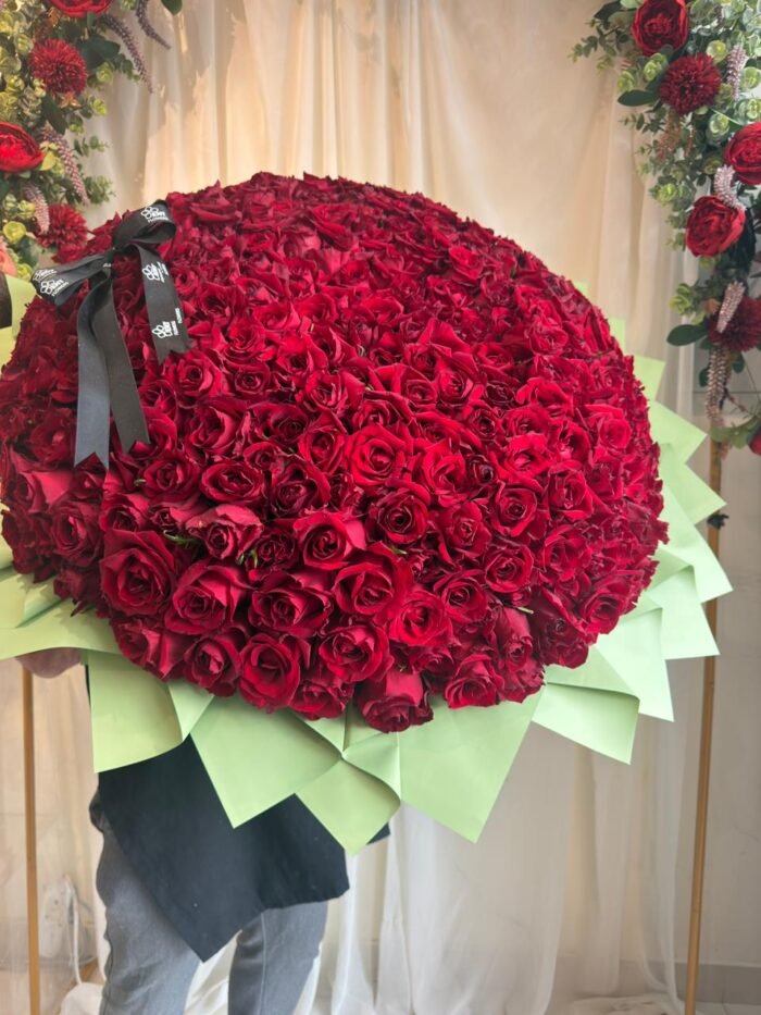 Red Elegance - Image 3