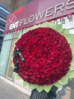 Red Elegance - Image 4