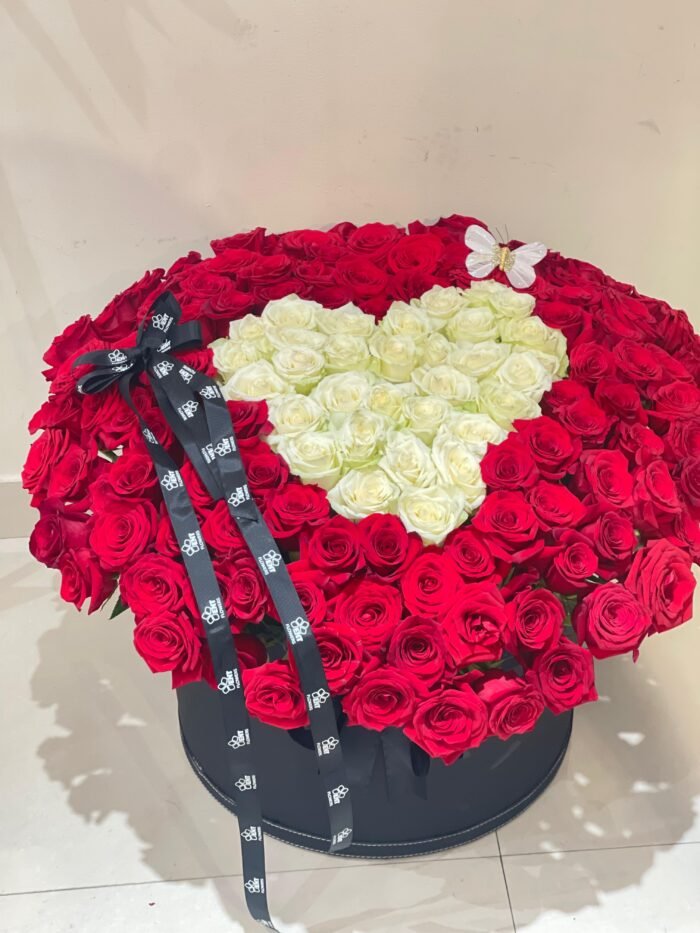 red and white - Image 2