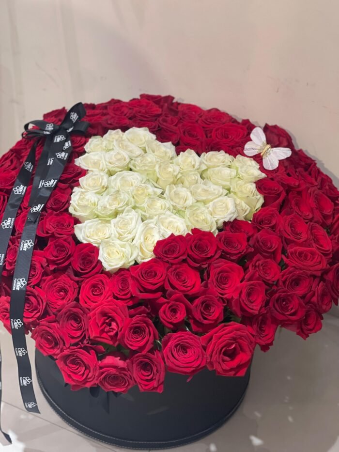 red and white - Image 3
