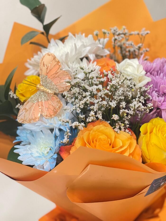 Deluxe Bundle - Image 2