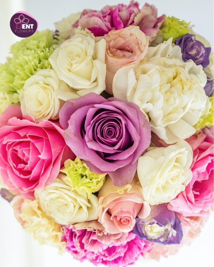 Nature Elegance - Image 3