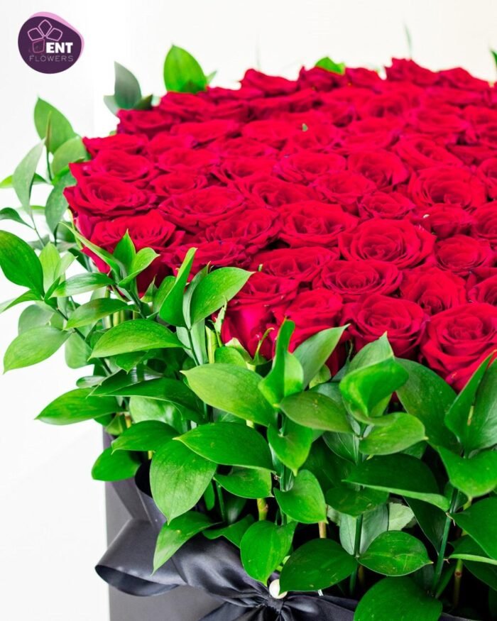 box Red Luxury - Image 2