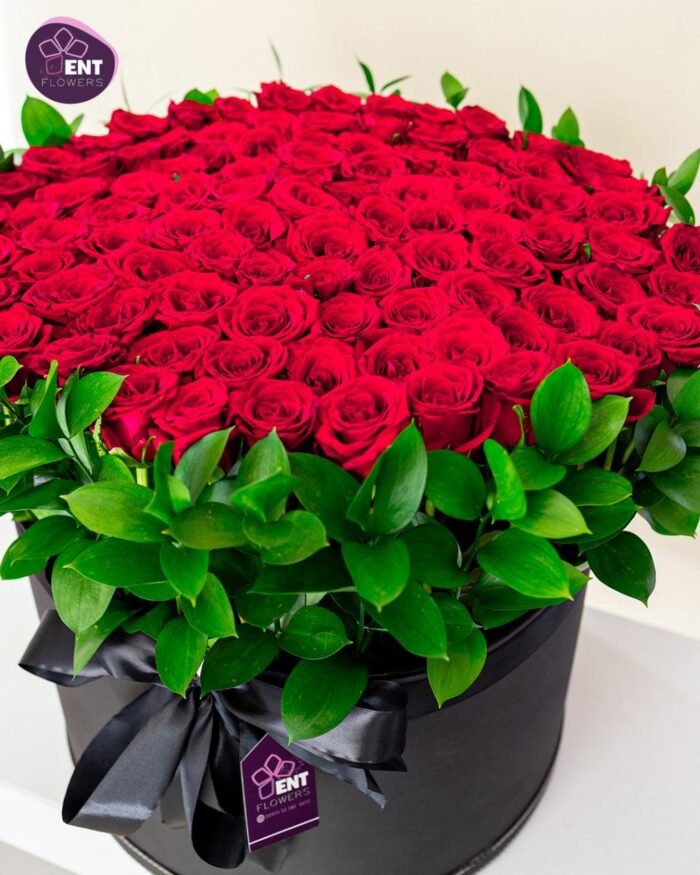 box Red Luxury - Image 3