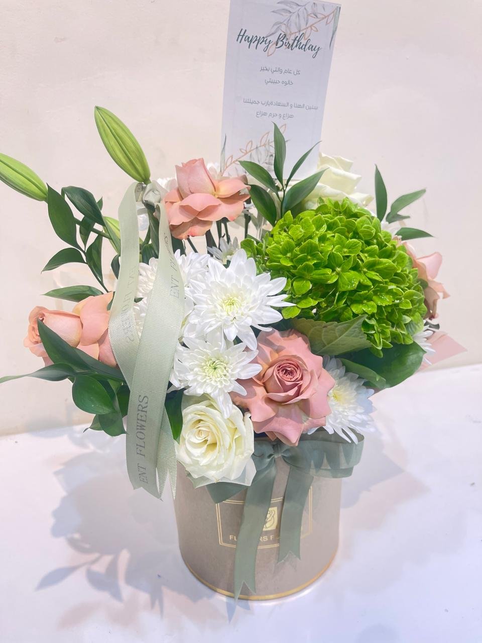 WhatsApp Image 2026-02-25 at 8.11.16 PM (1) box - Image 1