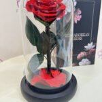 1 anfenete roses red