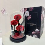 anfenete roses 3 red