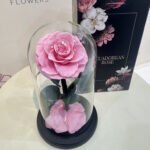 1 anfenete roses pink