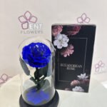 1 anfenete roses blue