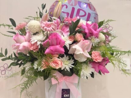 boxEncha nted Rose